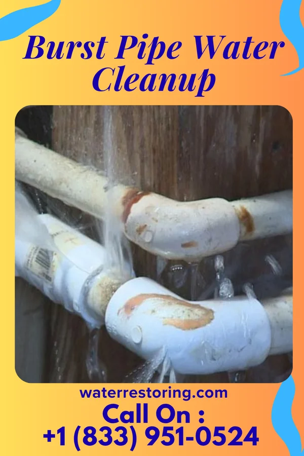 Burst Pipe Water Cleanup in Fairmount, GA