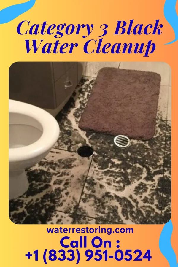 Category 3 Black Water Cleanup in Fairmount, GA