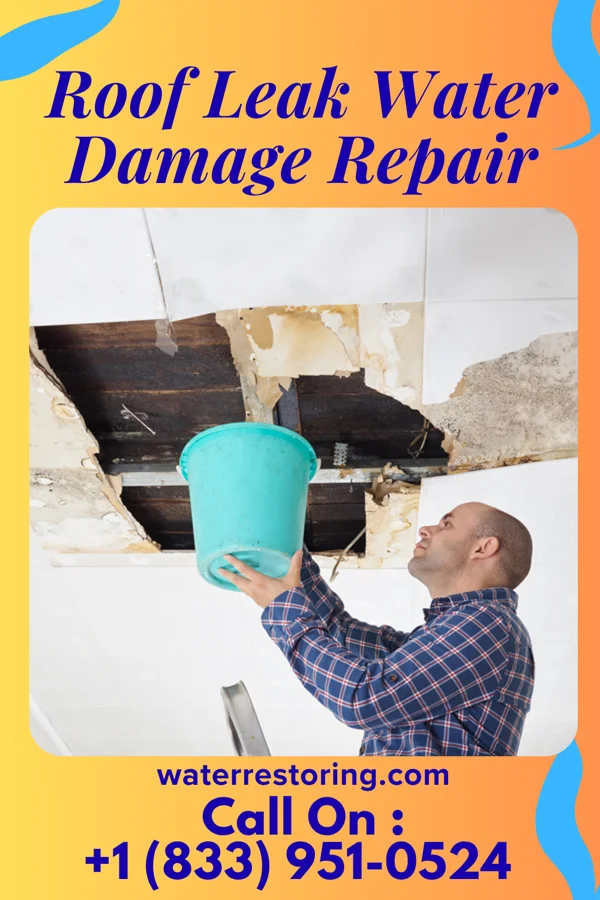 Roof Leak Water Damage Repair in Fairmount, GA
